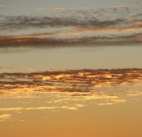 Orange, dusk वॉलपेपर