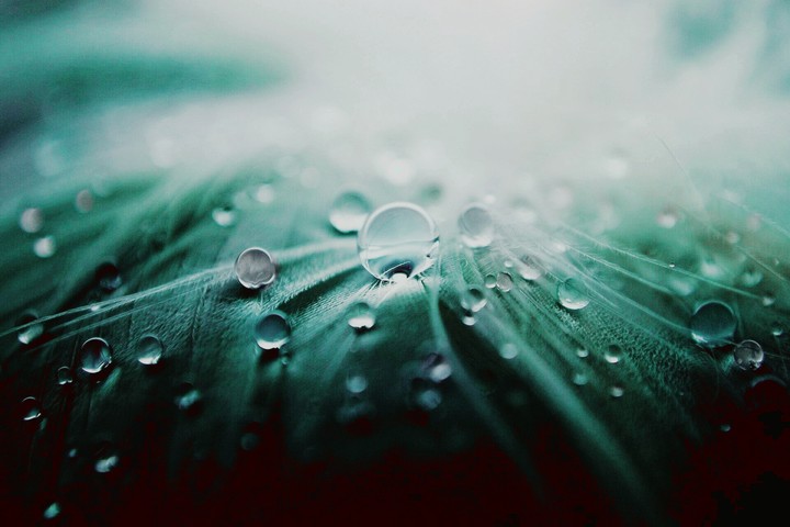 droplets