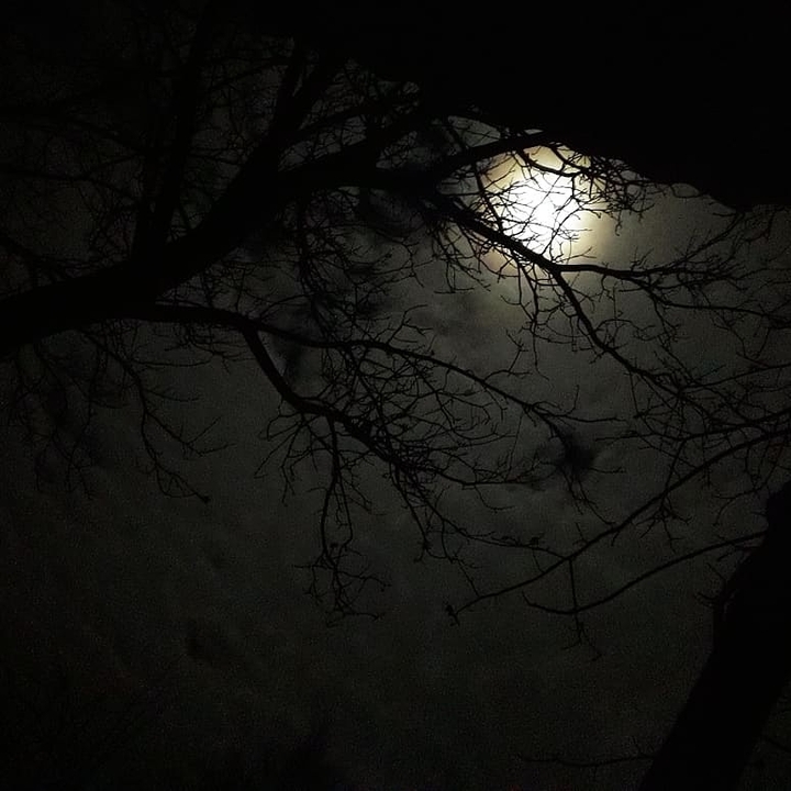 moon light