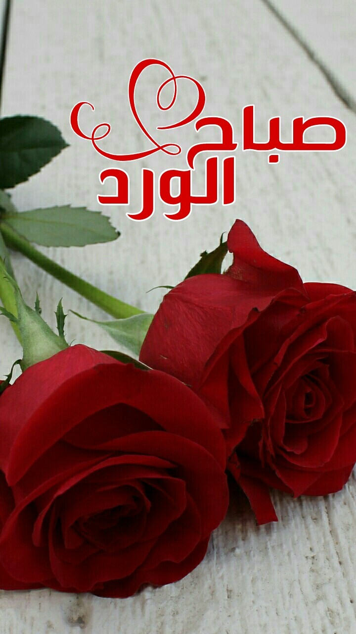Good morning!