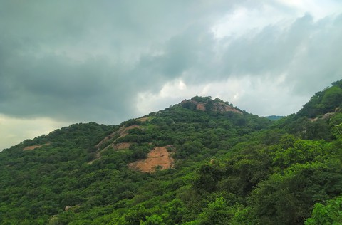#Mountain view