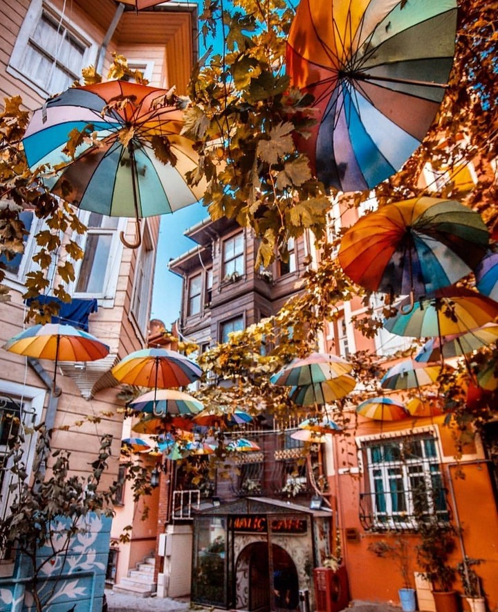 Umbrellas