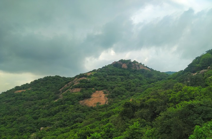 #Mountain view