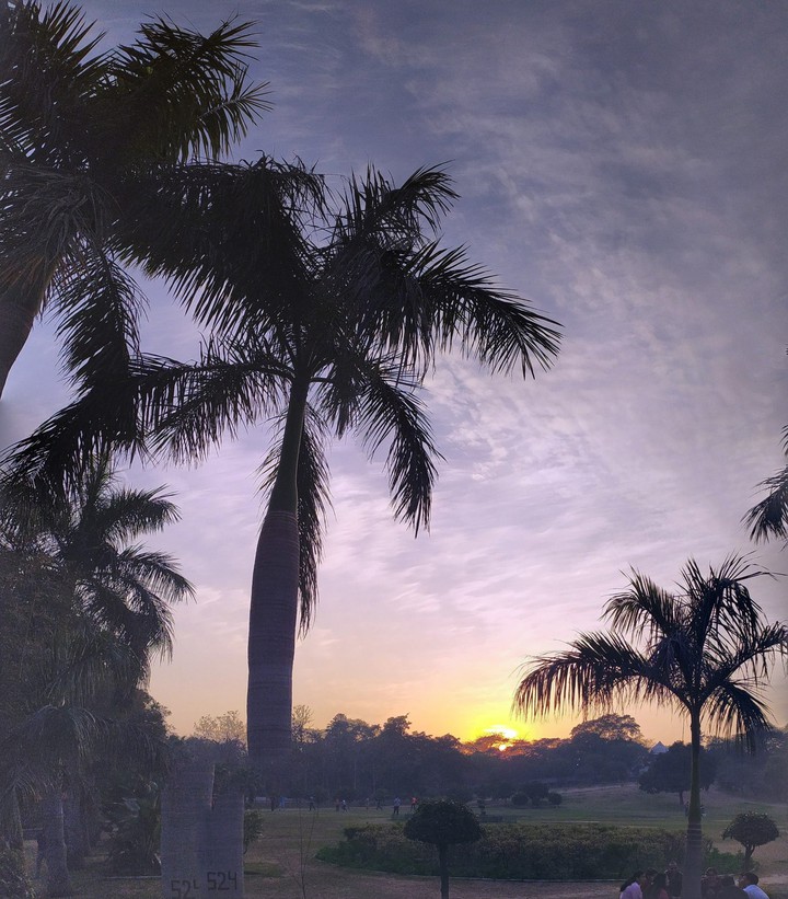 sunset