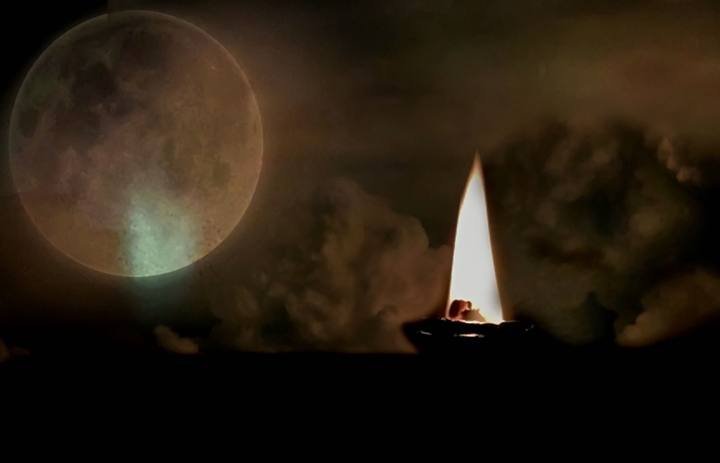 moonlight