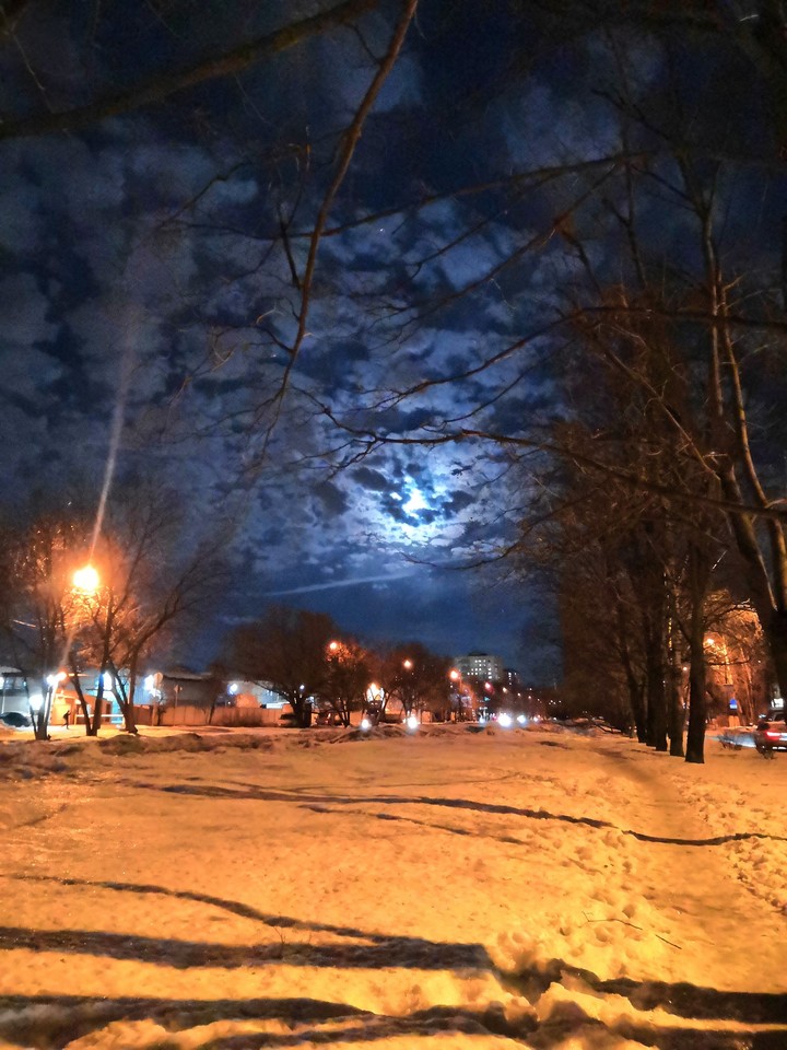7764322