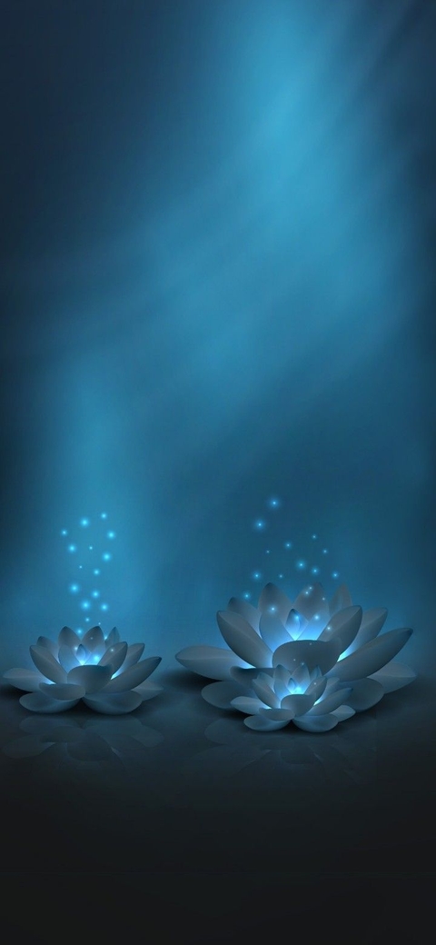 Petal, Lotus, Aquatic_plant