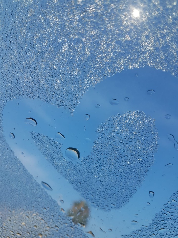 heart ♥