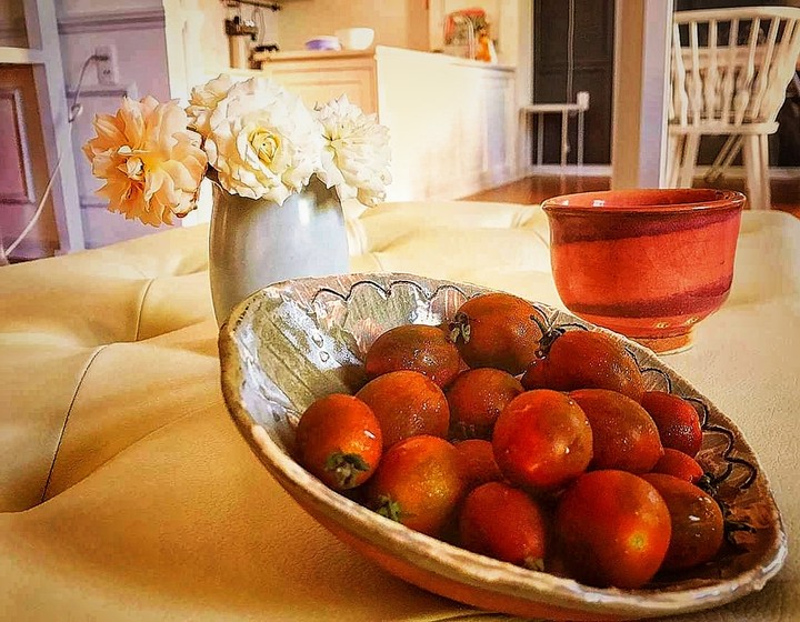 Tomato's
