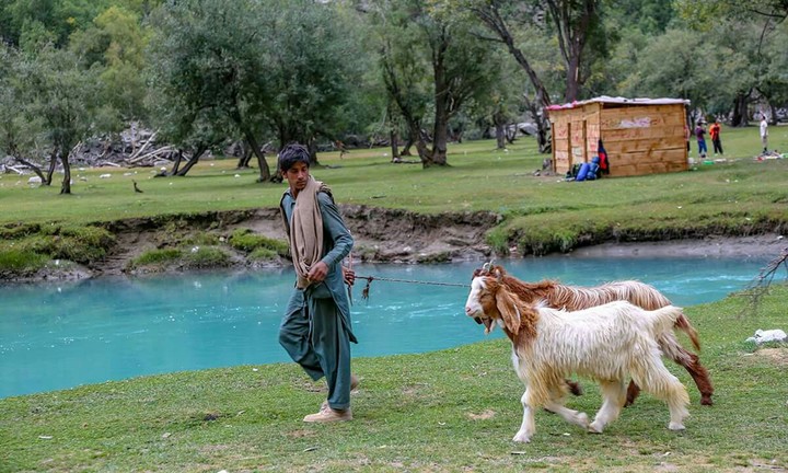 my country pakistan