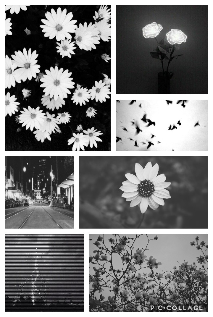 Black and white aesthetic