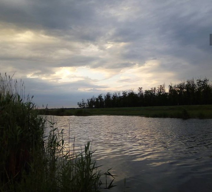 river bank