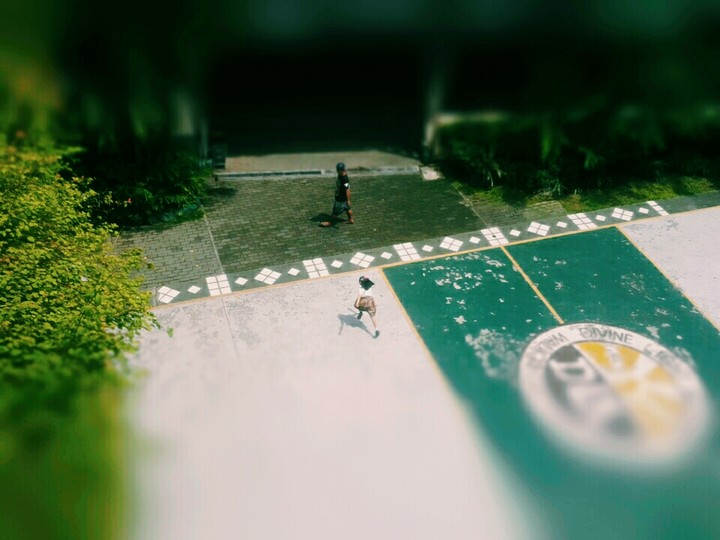 Leap