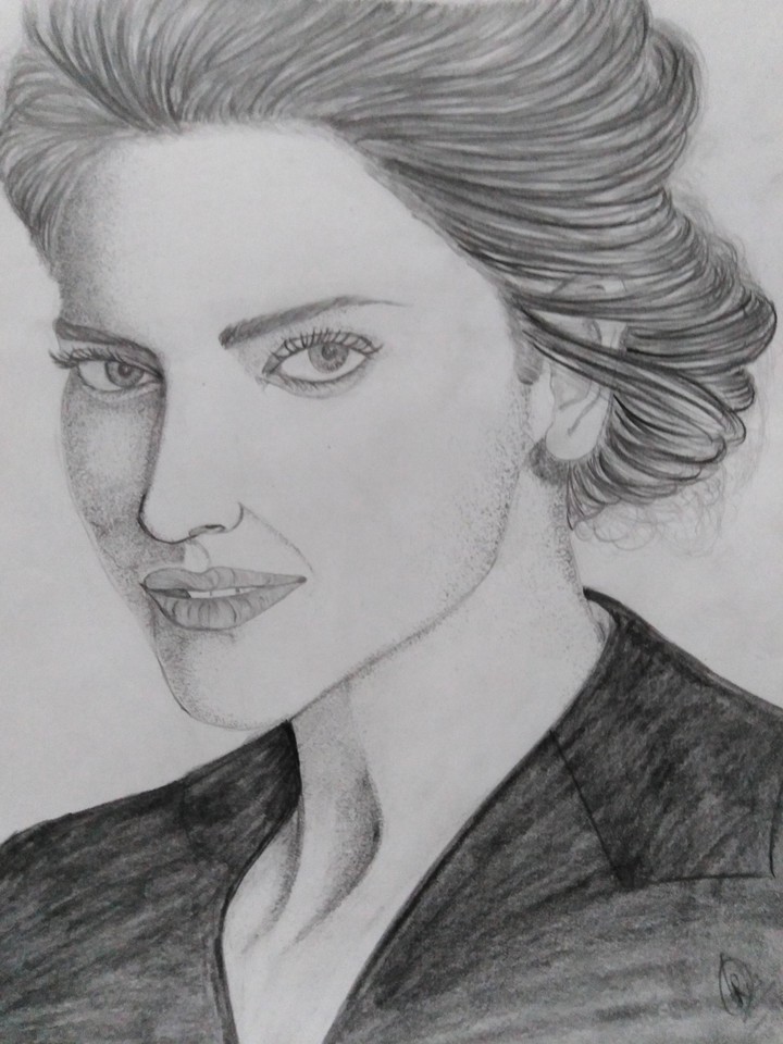 sketch