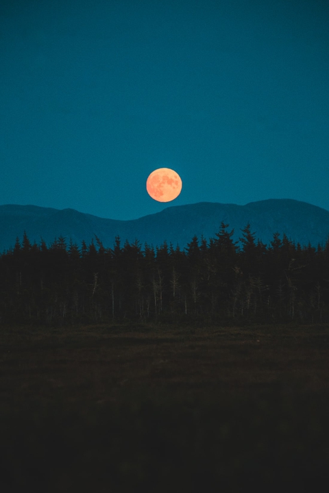 Blue sky Moon
