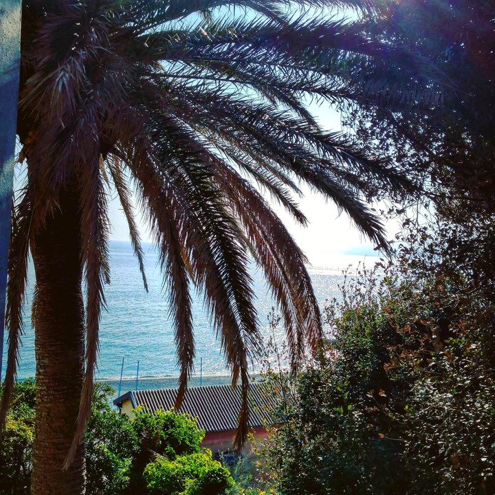 nature