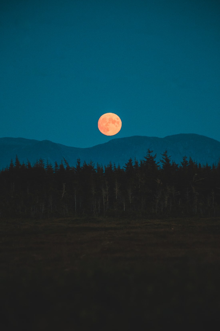 Blue sky Moon