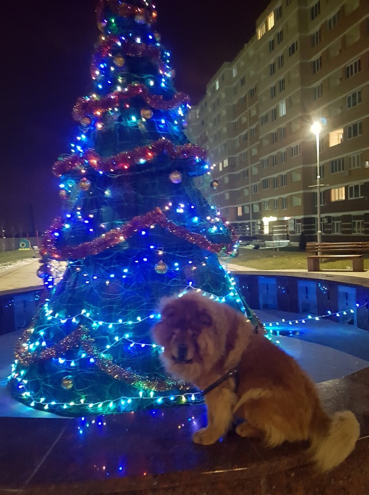 Черноморск