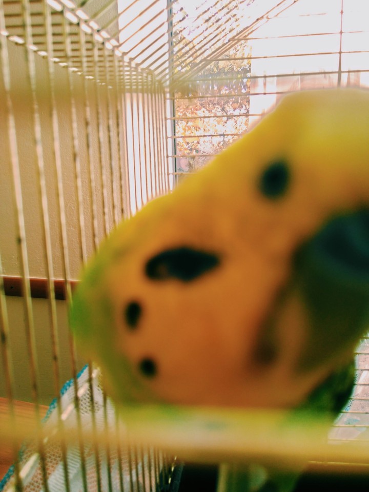 handsome