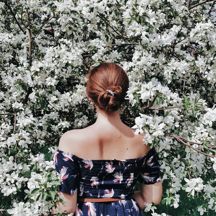 blossom