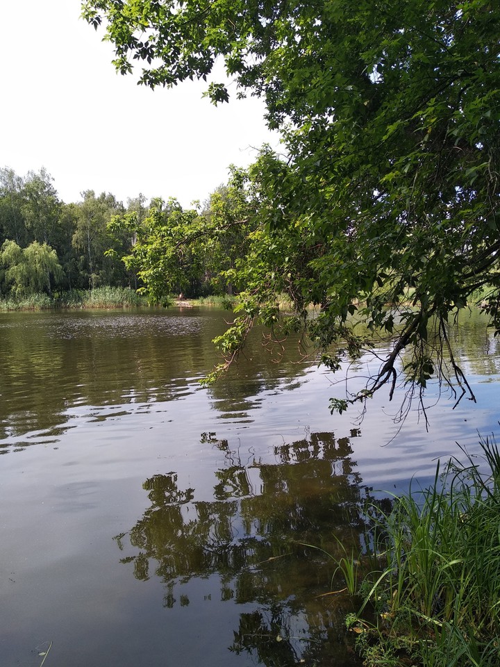 вода