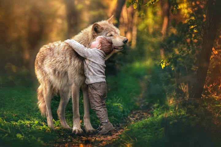 lobo y niño Full HD