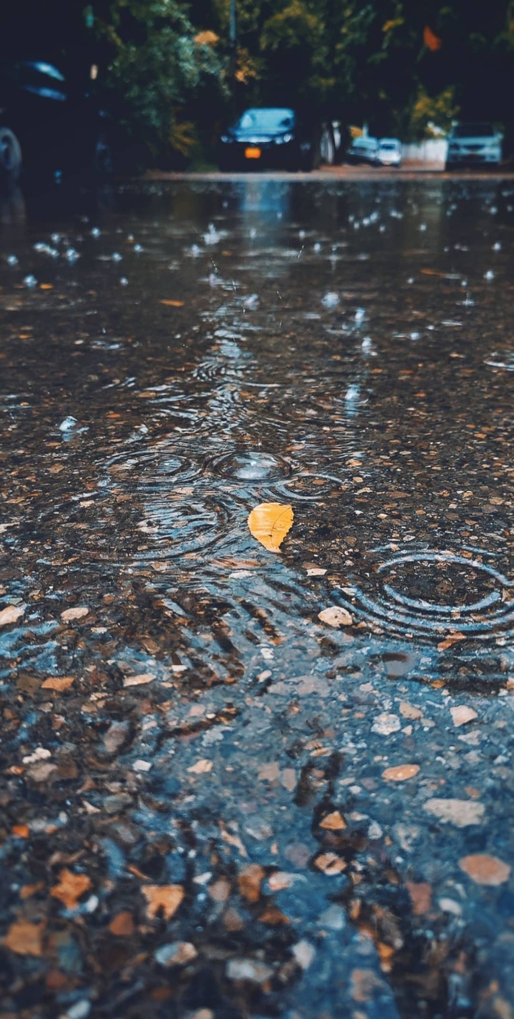 Rain ?️