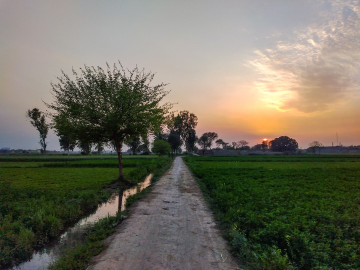 Sunset at Village