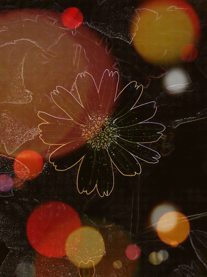 flowers is beutyfull