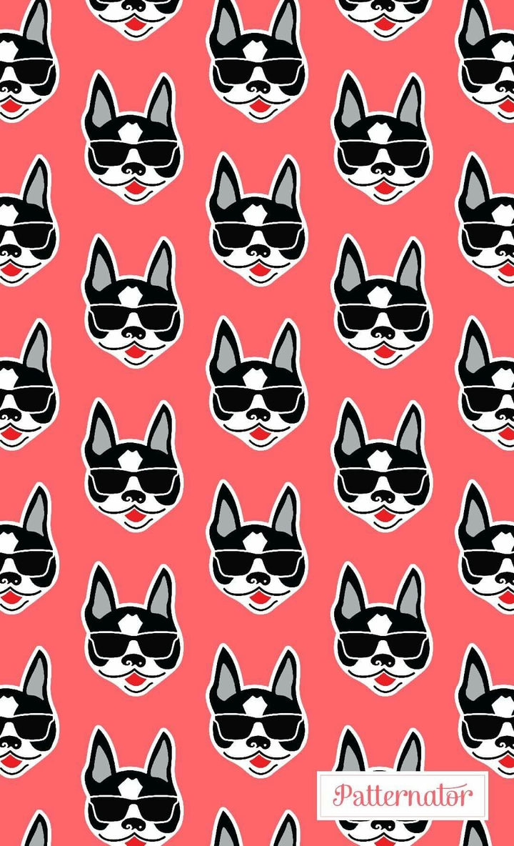 Cães