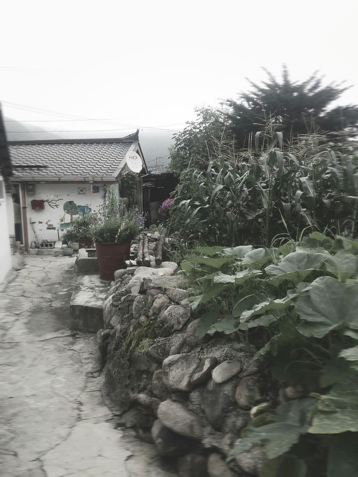 우리 할머니네