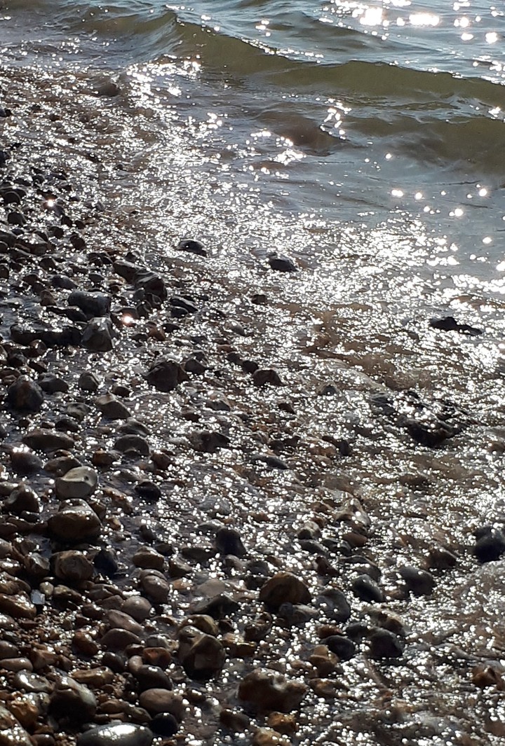 Shoreline
