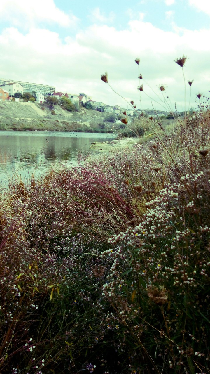 море