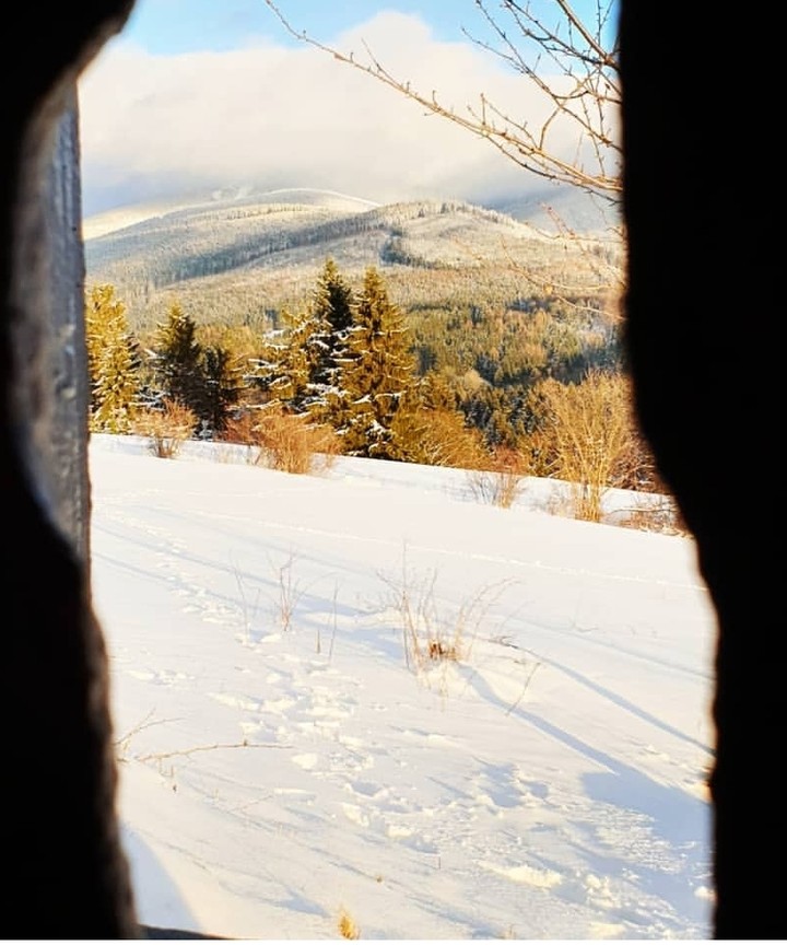 snow