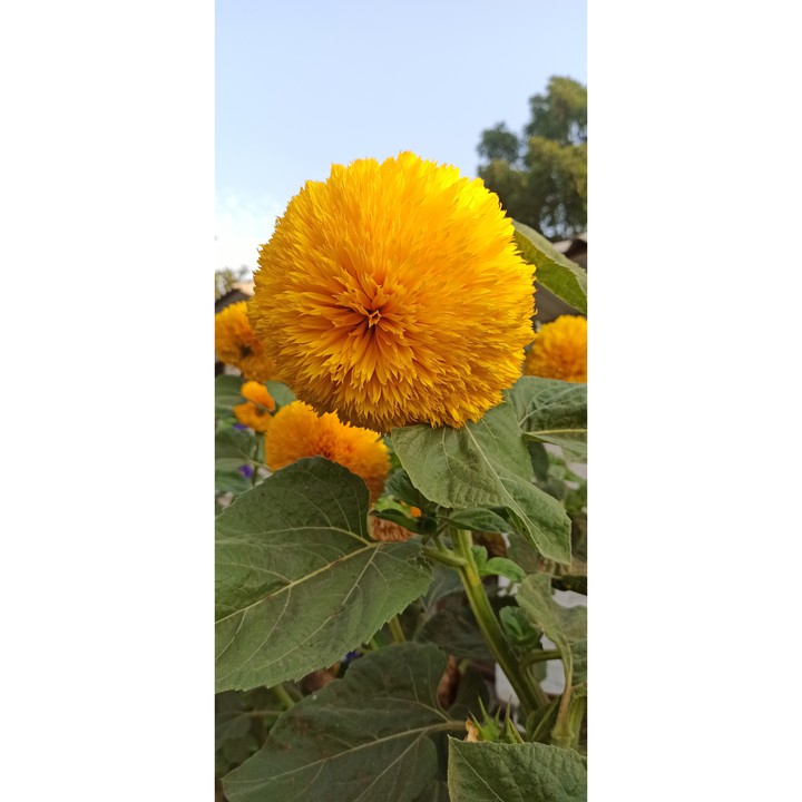 #Україна #літо #summer  2021