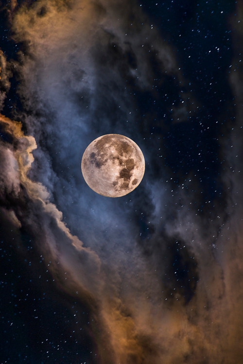 To te moon