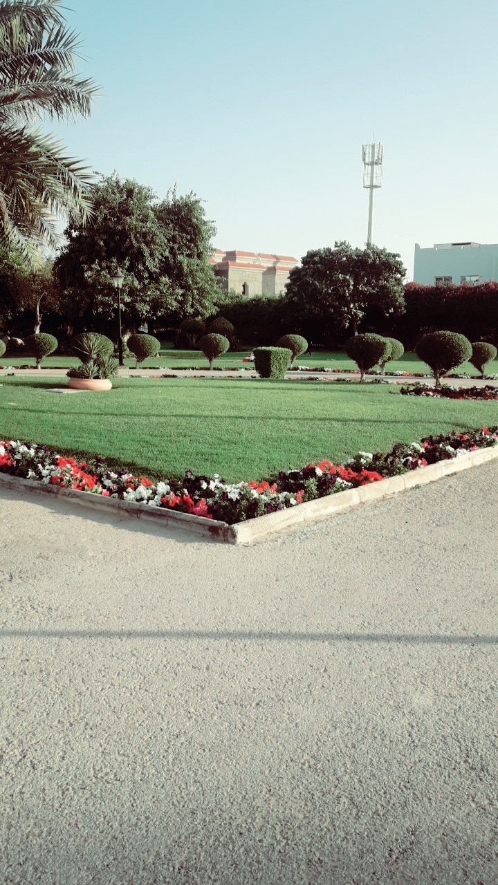 Greenery ❤