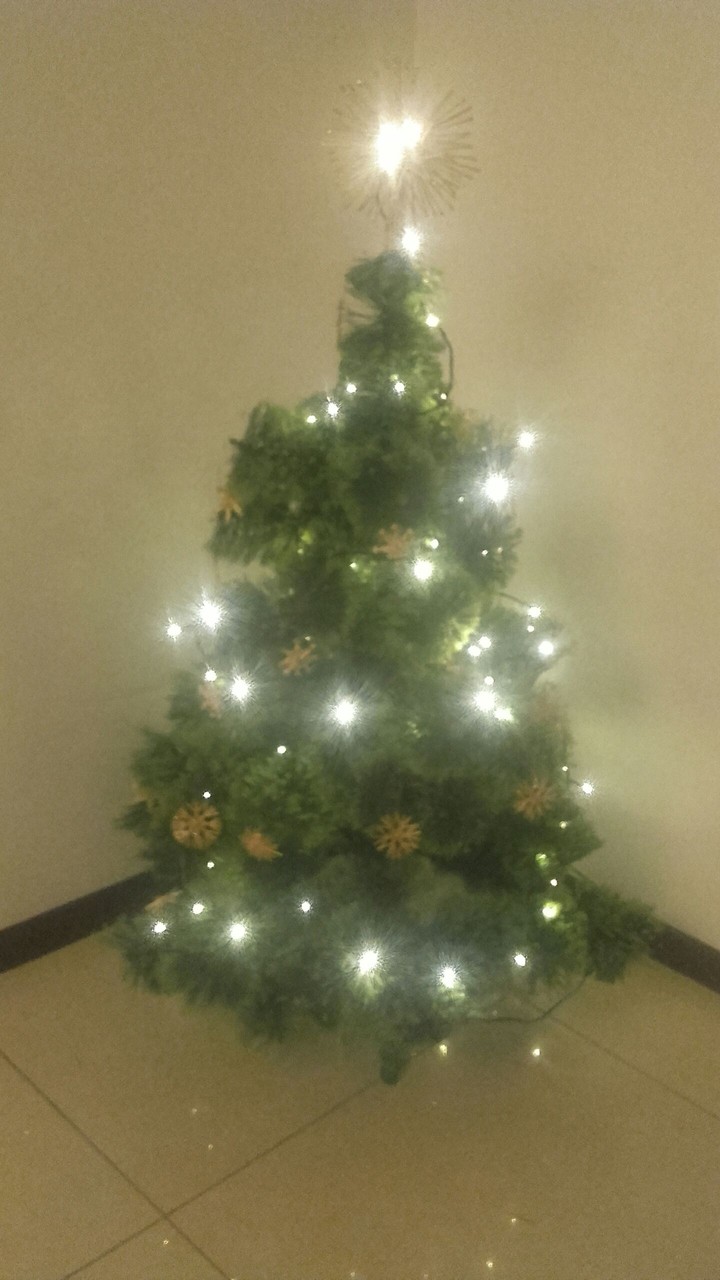mini tree
