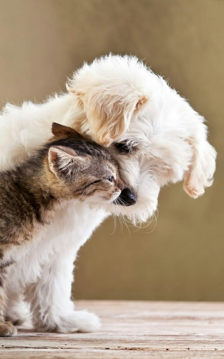 kissy☺