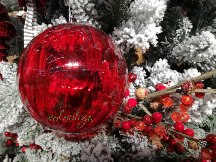 Navidad Christmas