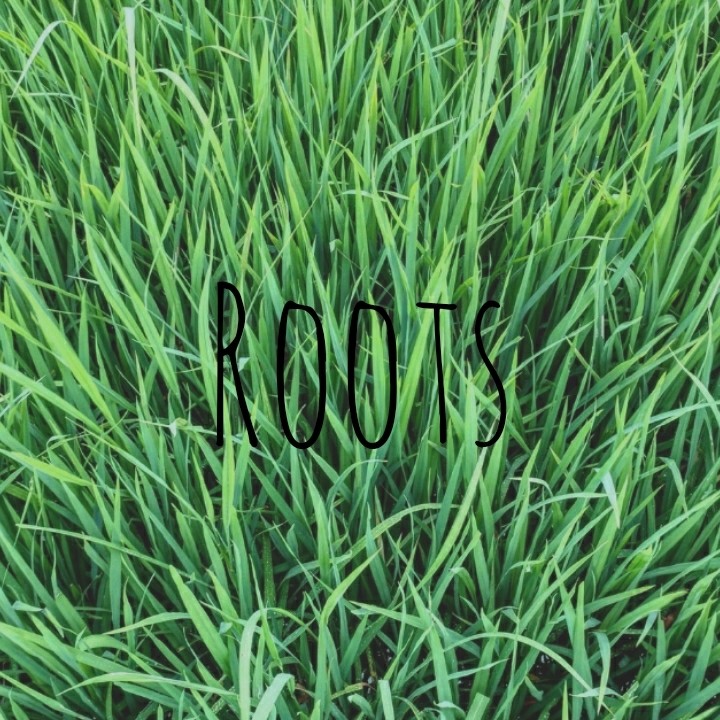 I'm going back to my roots