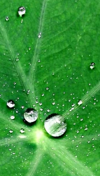 water