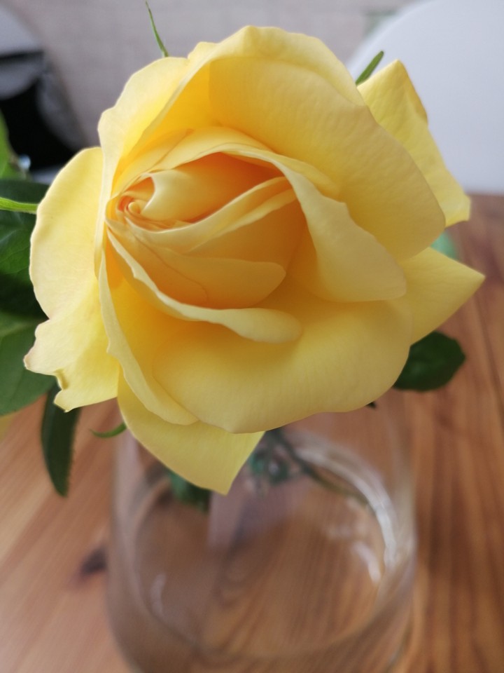 Blume