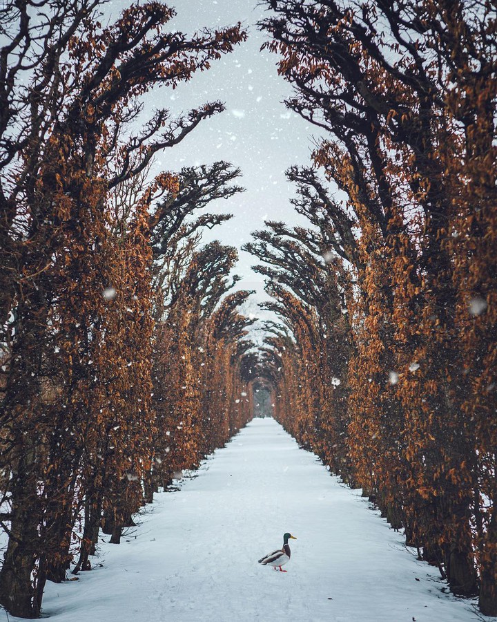 snowing