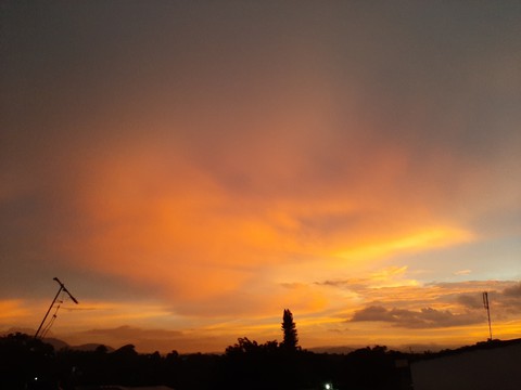 golden skies