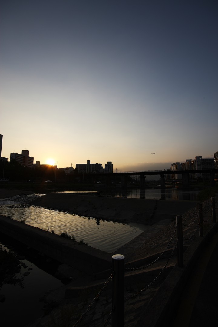 Scenics