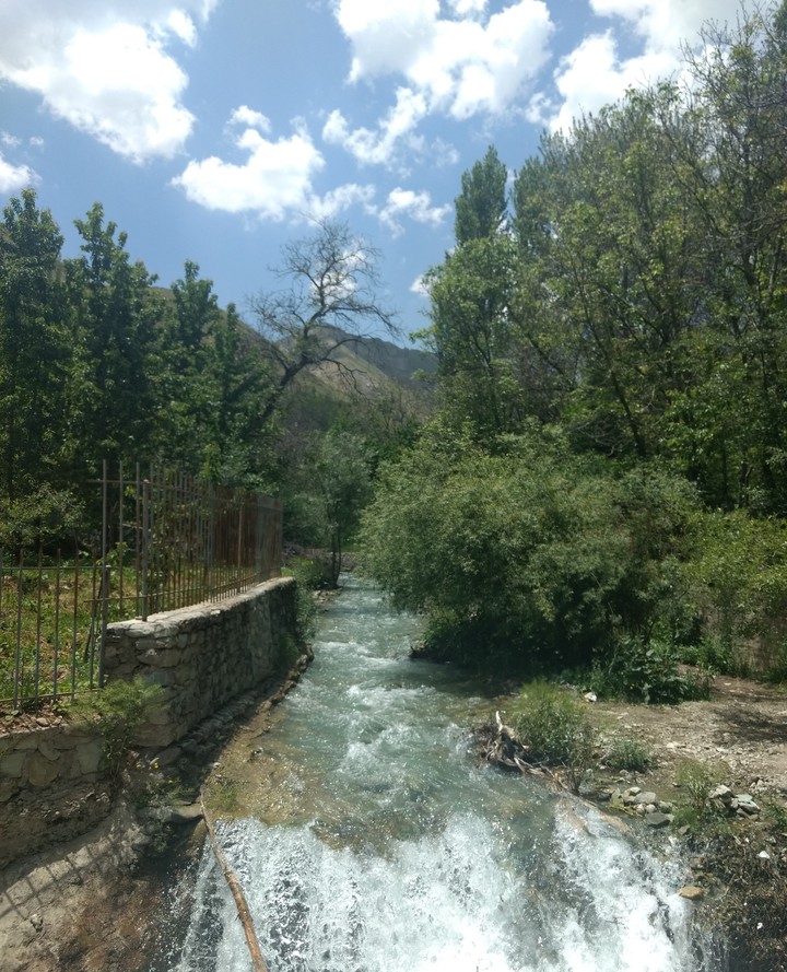 green nature ( ahar )