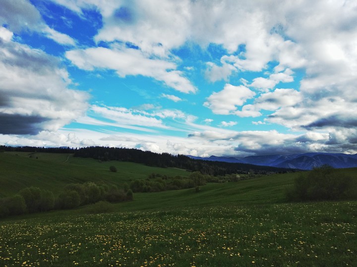 Spring