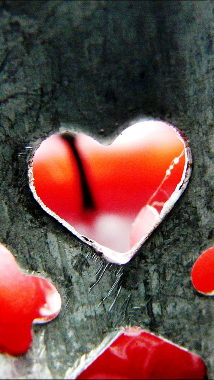 heart