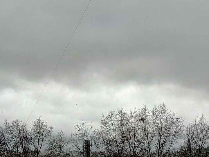 Rainy day